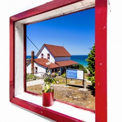 A Room with a View